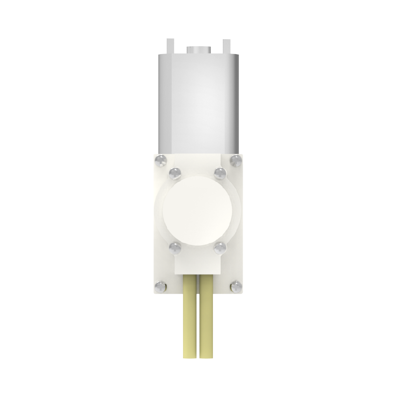 DP-04