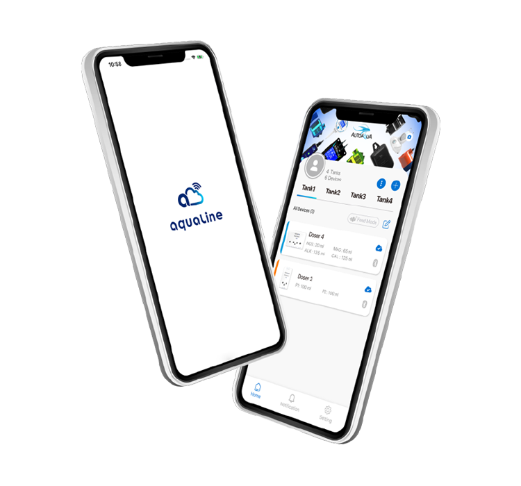 app_main