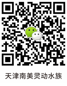 qrcode7